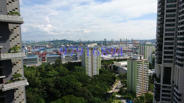 Spottiswoode Suites (D2), Apartment #154291782